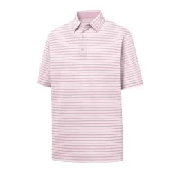 FootJoy Golf FootJoy ProDry Performance Lisle 2-Color Stripe Self Collar Polo -Brands Sales Store 26539 09450.1675976005