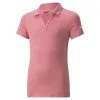 PUMA Golf Puma Girls Cloudspun Free Polo 2 PUMA Golf Puma Girls Cloudspun Free Polo -Brands Sales Store 530673 08 93549.1660846691