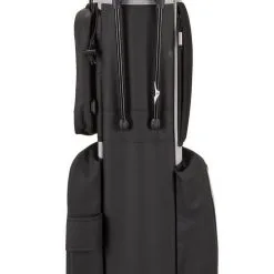 Mizuno Golf Mizuno BR-D2 Stand Bag -Brands Sales Store Mizuno BR D2 Stand Bag 2022 HG b 46786.1674230092