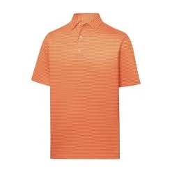 FootJoy Golf FootJoy ProDry Lisle Classic Pencil Stripe Polo 20 FootJoy Golf FootJoy ProDry Lisle Classic Pencil Stripe Polo -Brands Sales Store fj 28119 42045.1675977514